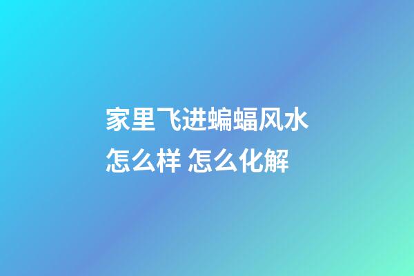 家里飞进蝙蝠风水怎么样 怎么化解
